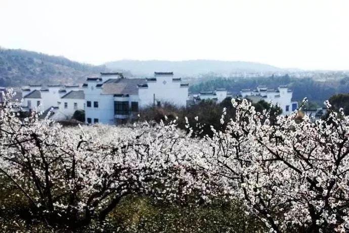月光影视